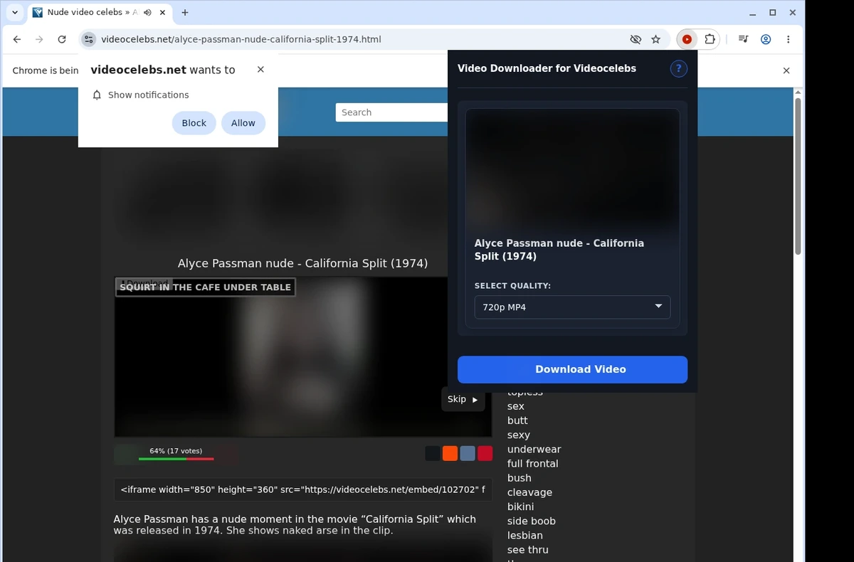 VideoCelebs Video Downloader ready state screenshot