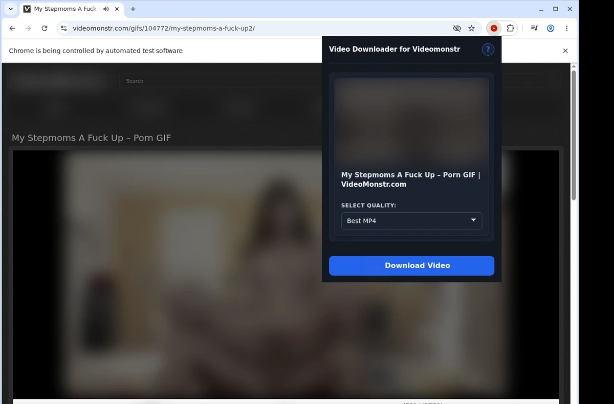 Videomonstr Downloader ready state screenshot