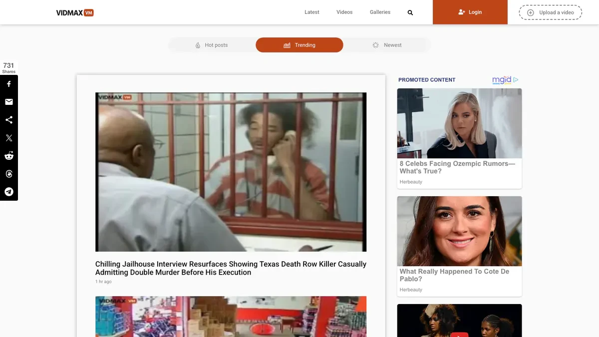 VidMax Downloader website preview