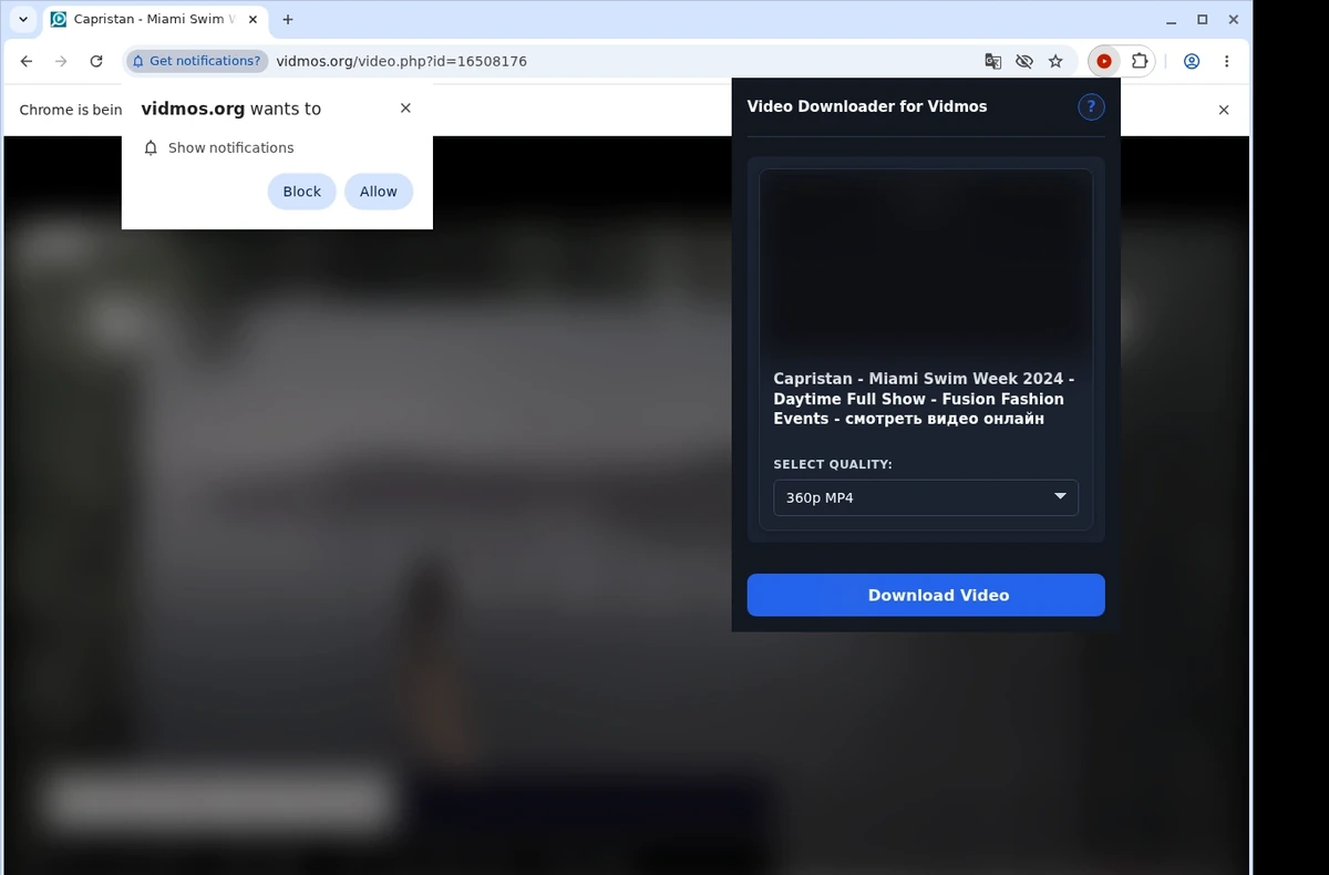 Vidmos Video Downloader ready state screenshot