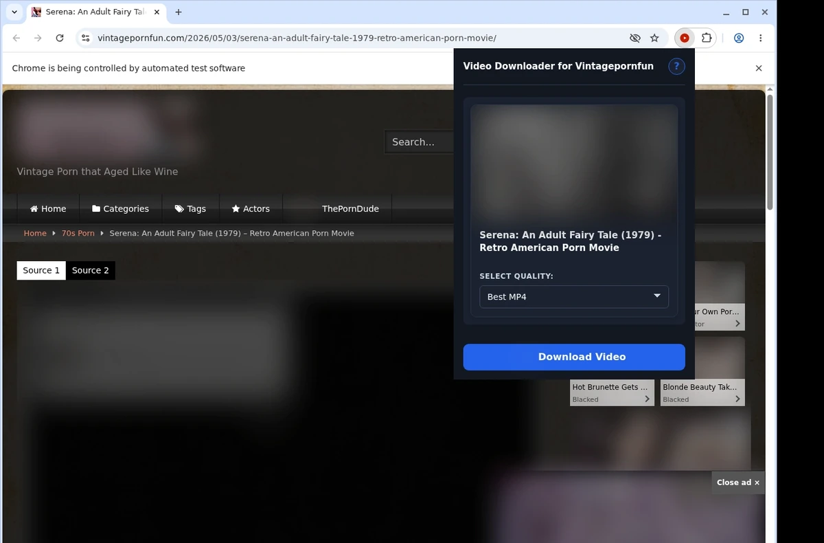 VintagePornFun Video Downloader ready state screenshot