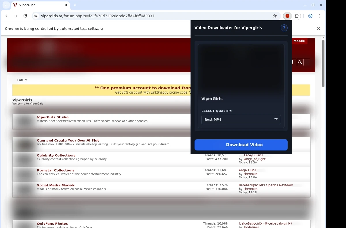 Vipergirls Video Downloader ready state screenshot
