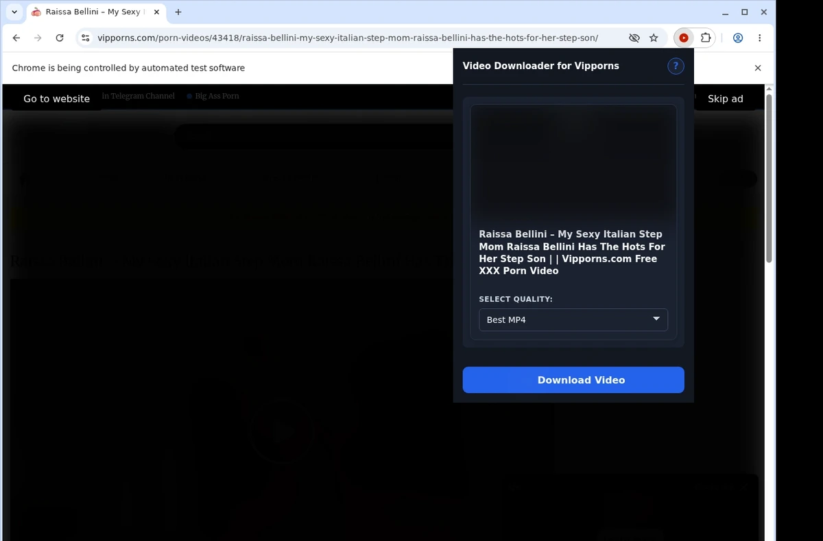 VIPPorns Video Downloader ready state screenshot