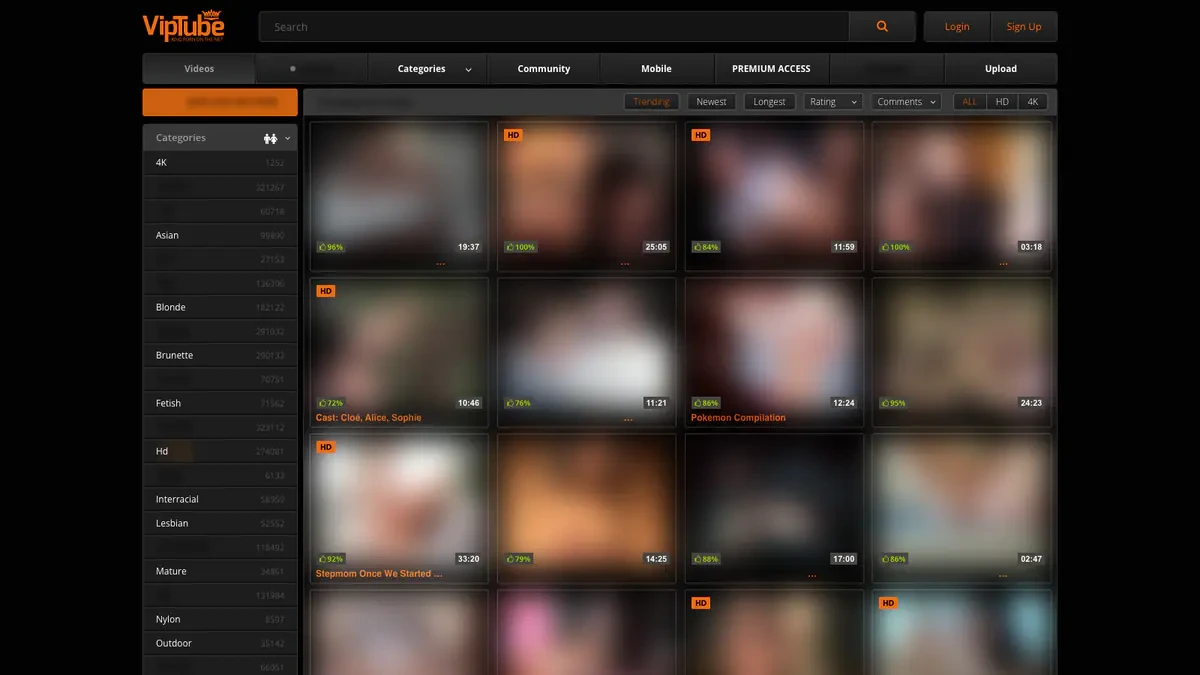 VipTube Downloader website preview