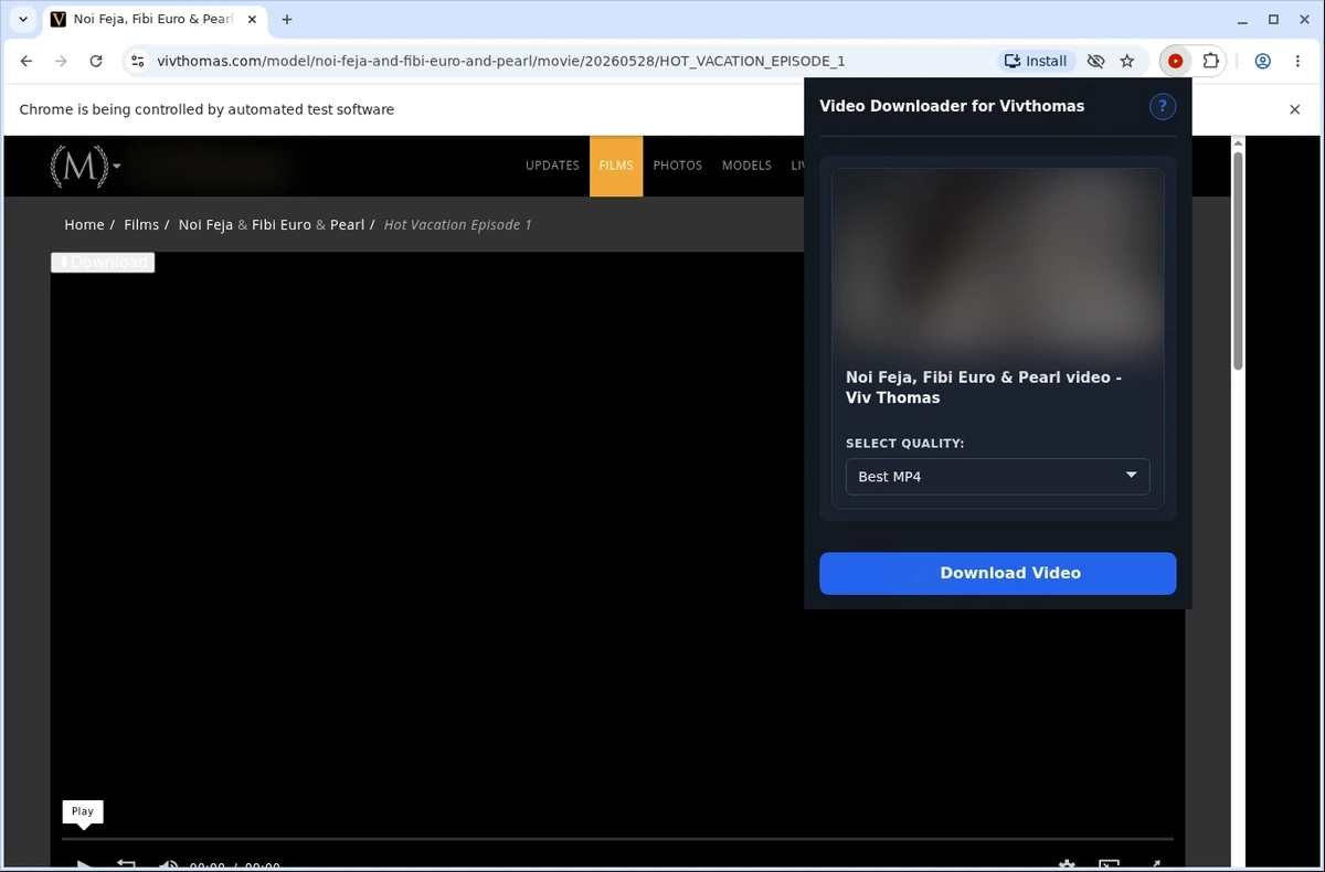 VivThomas Video Downloader ready state screenshot