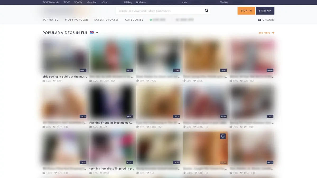 VoyeurHit Downloader website preview