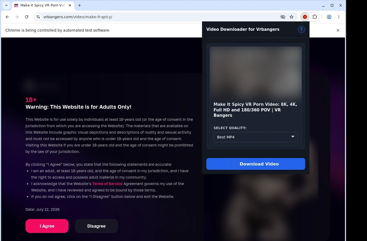 VRBangers Video Downloader ready state screenshot