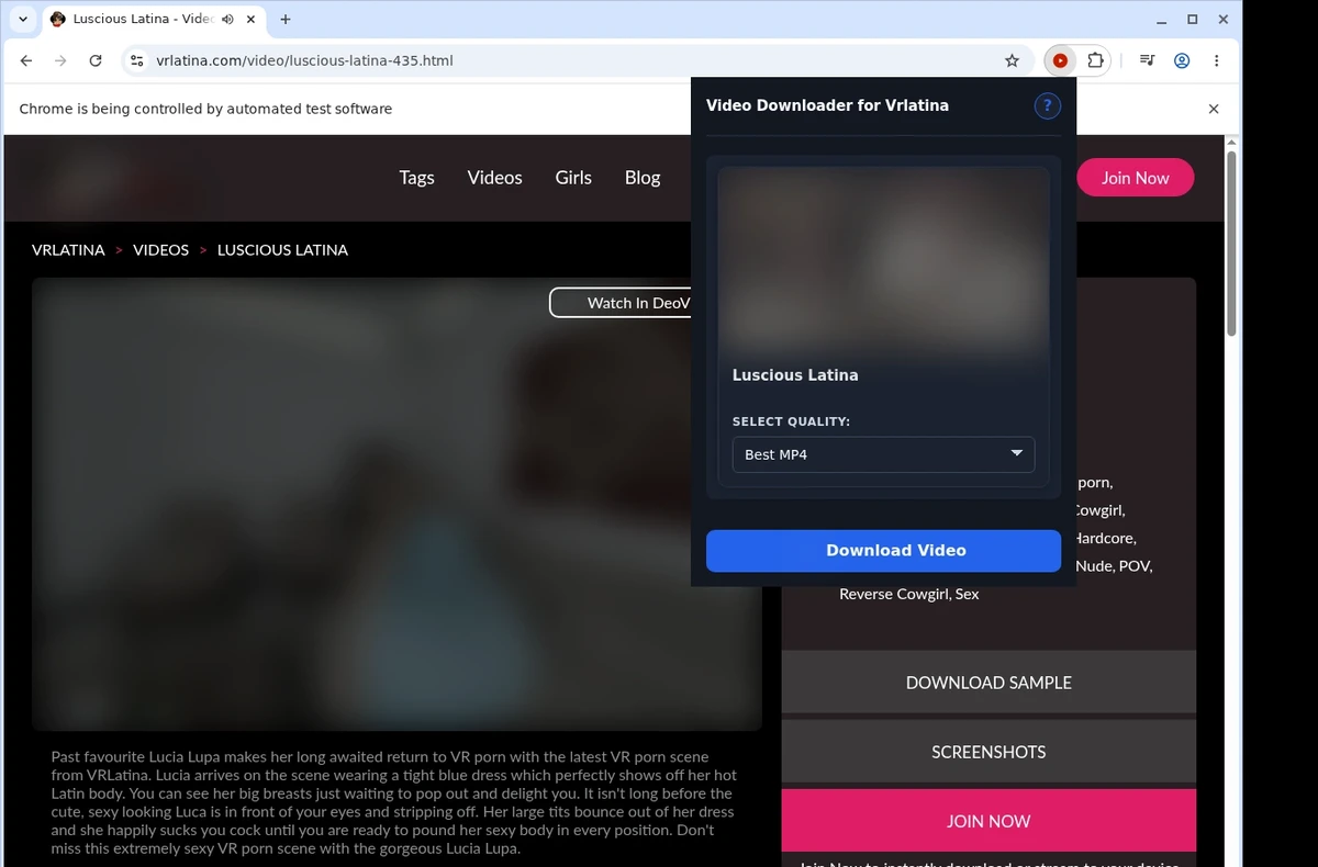 VRLatina Video Downloader ready state screenshot
