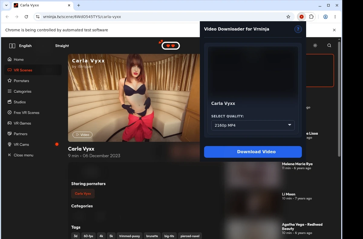 VRNinja Video Downloader ready state screenshot