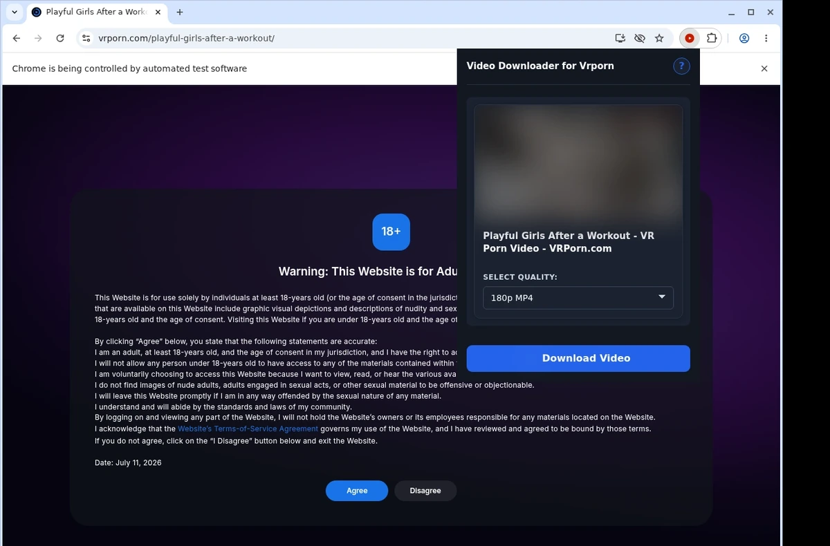 VRPorn Video Downloader ready state screenshot