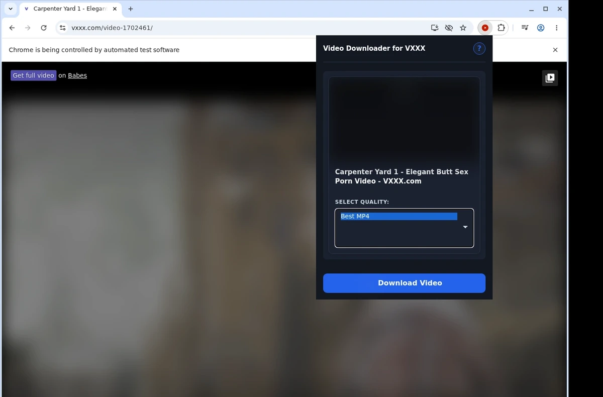 VXXX Video Downloader ready state screenshot