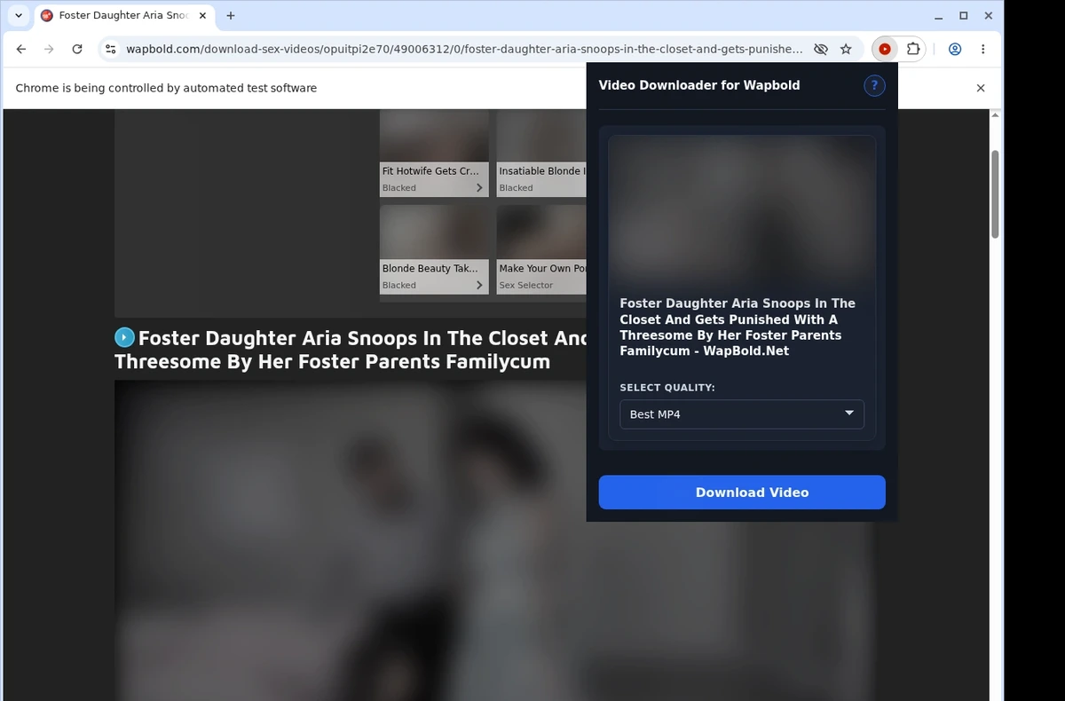 Wapbold Video Downloader ready state screenshot