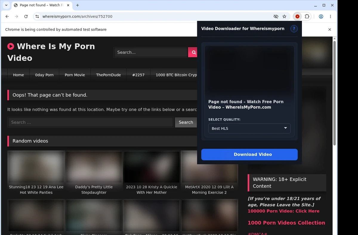 WhereIsMyPorn Downloader ready state screenshot