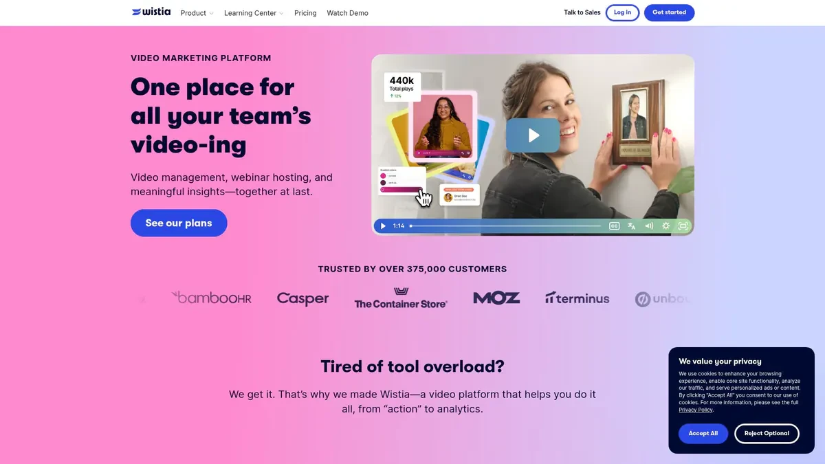Wistia Video Downloader demo video