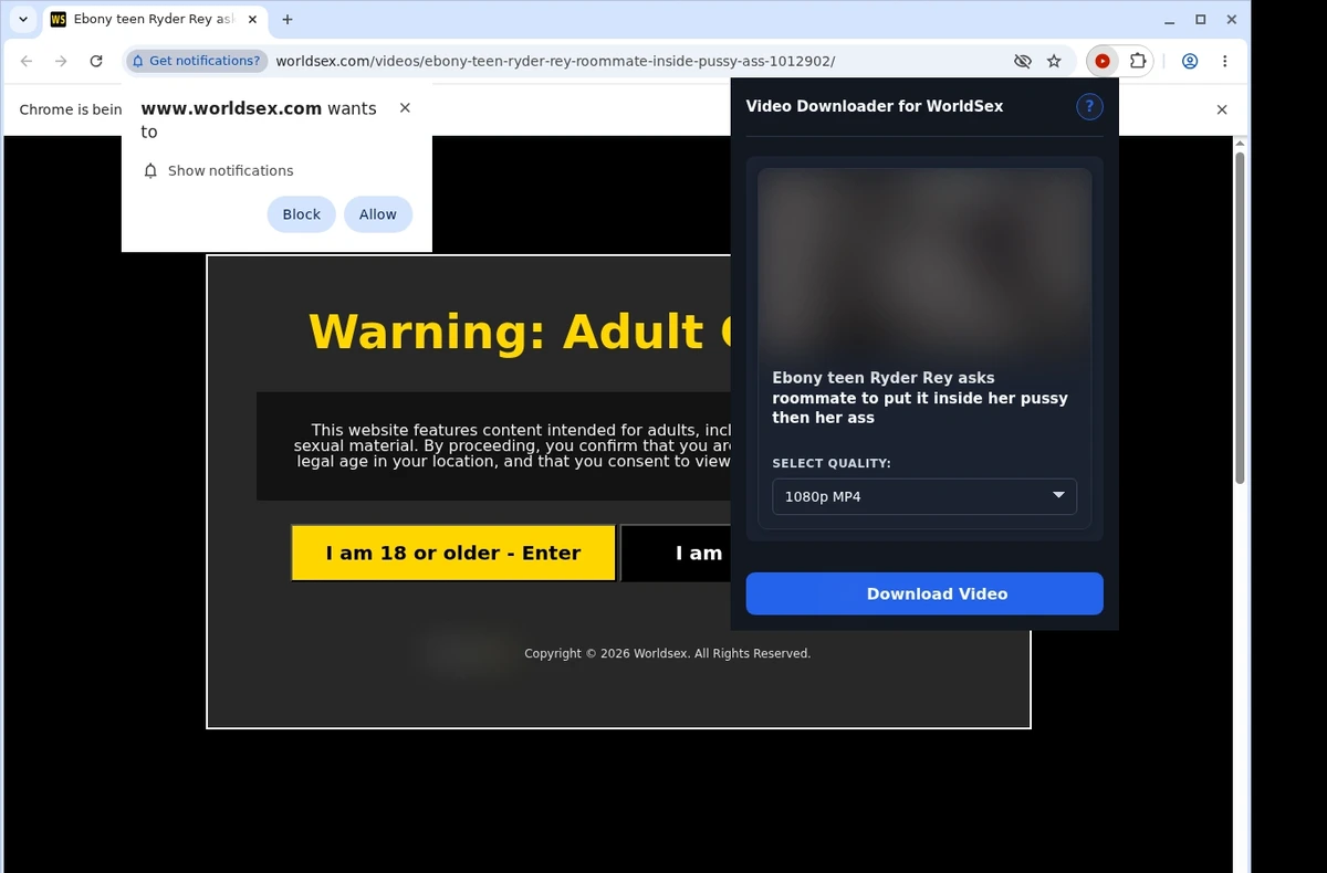 WorldSex Video Downloader ready state screenshot