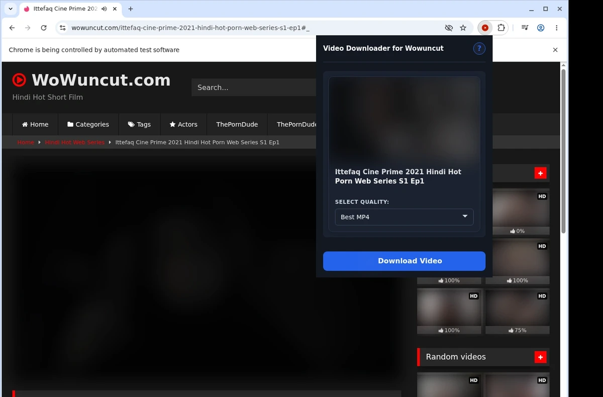 WowUncut Video Downloader ready state screenshot