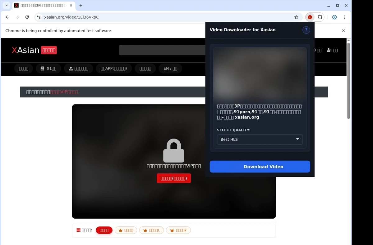 XAsian Video Downloader ready state screenshot
