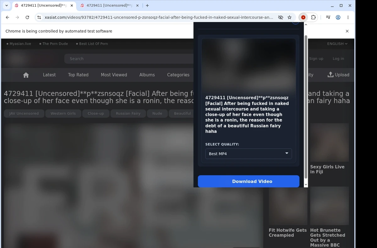 Xasiat Video Downloader ready state screenshot