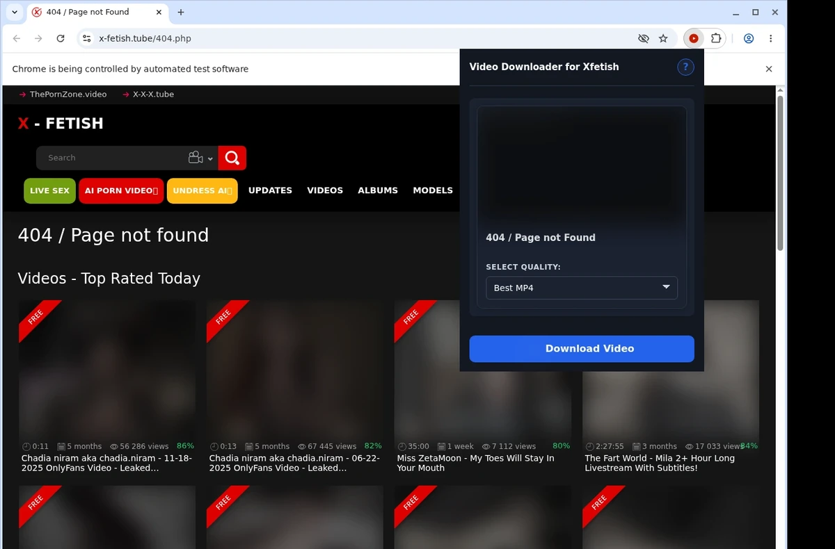 X-Fetish Video Downloader ready state screenshot