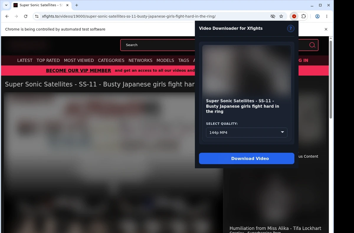 XFights Video Downloader ready state screenshot