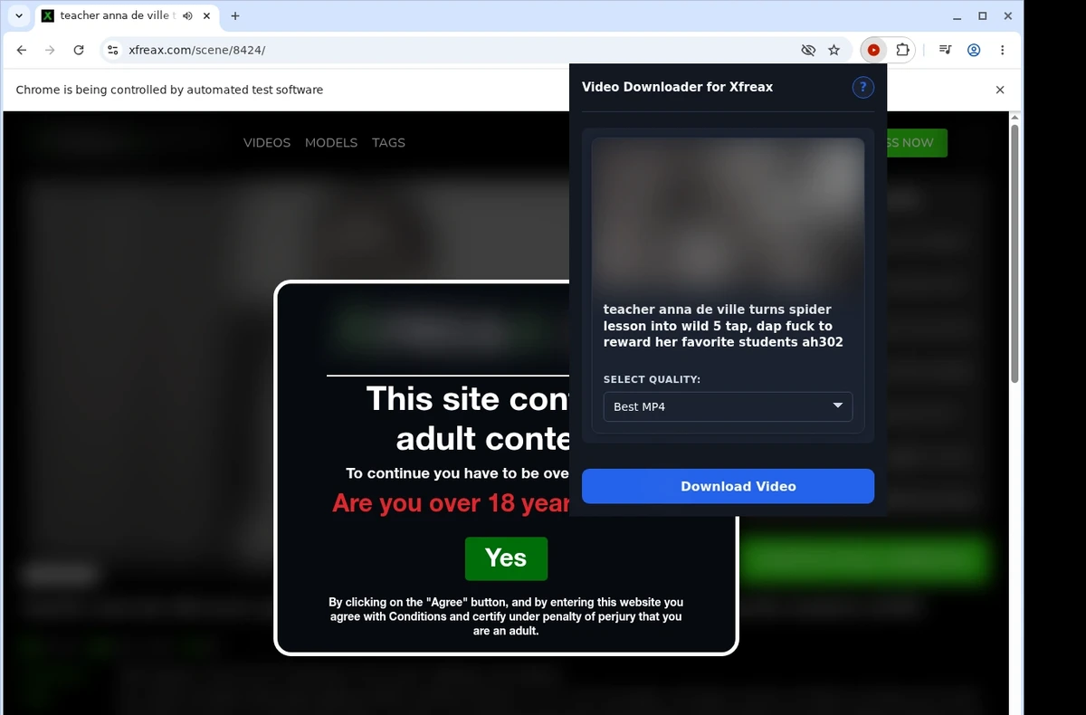 XFreax Video Downloader ready state screenshot