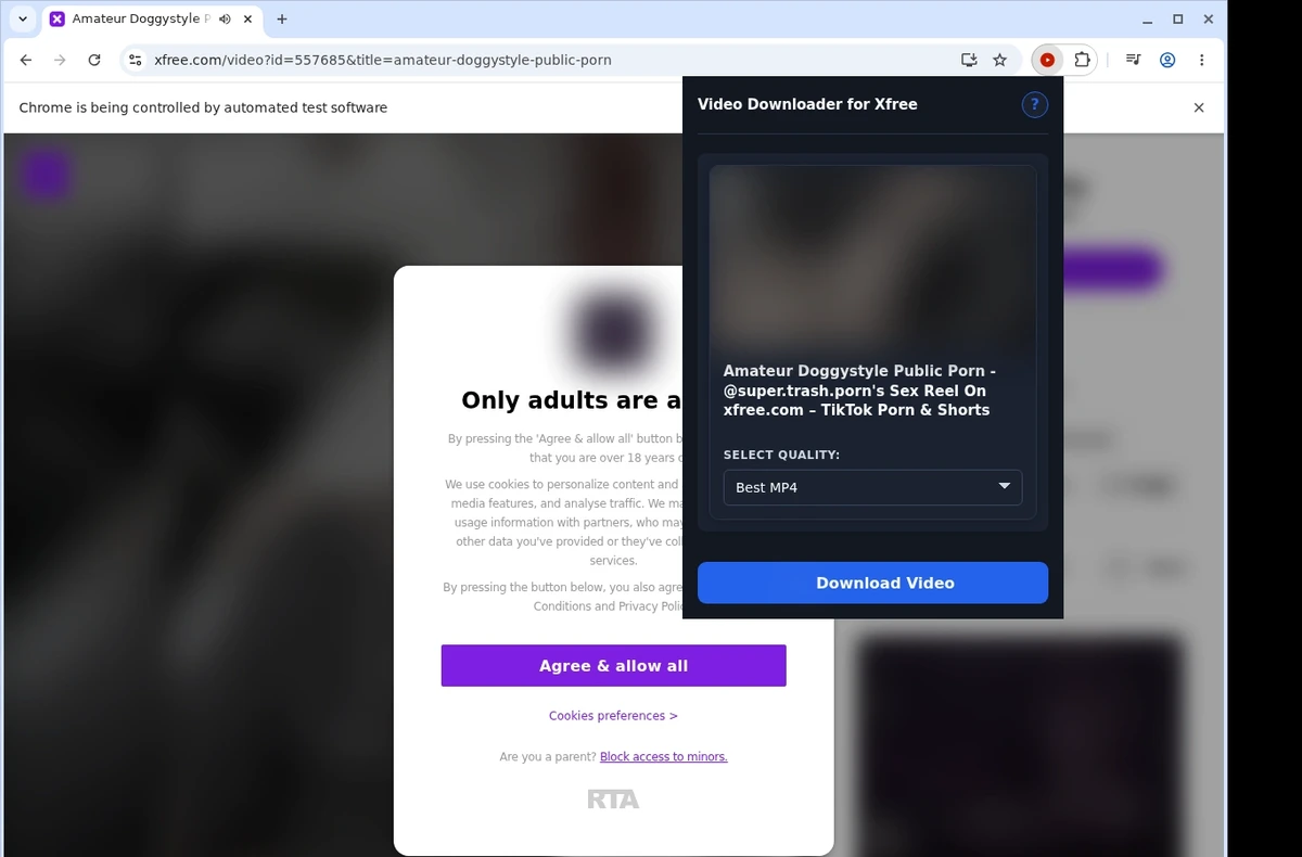 XFree Video Downloader ready state screenshot