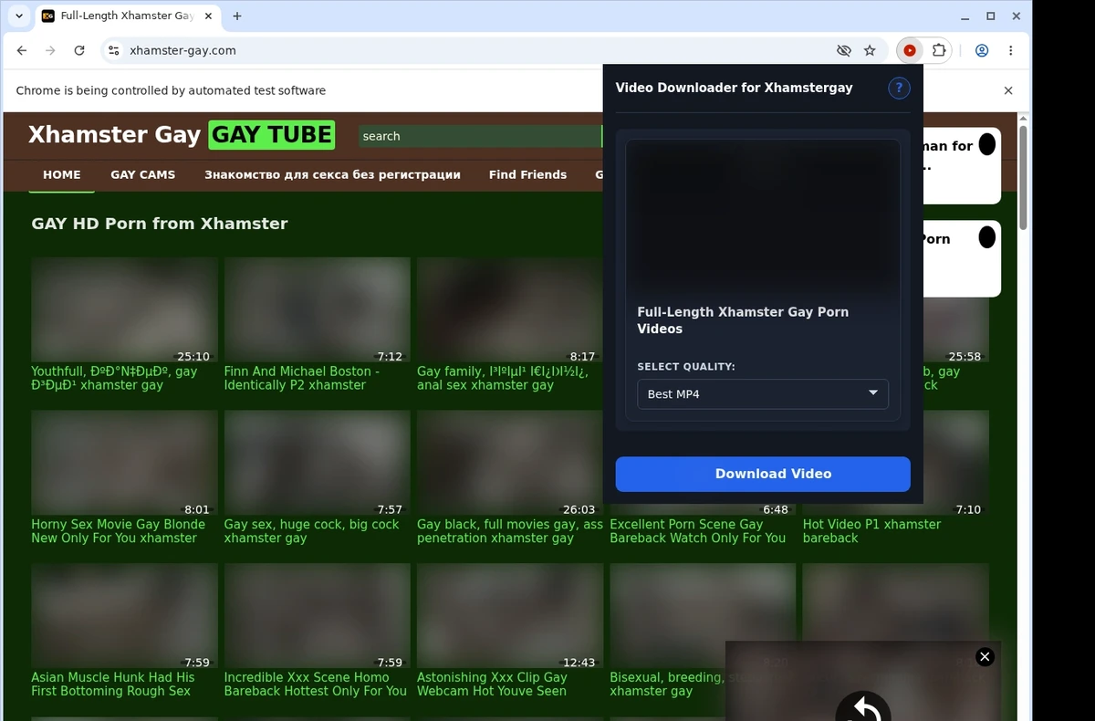 Xhamstergay Direct Video Downloader ready state screenshot