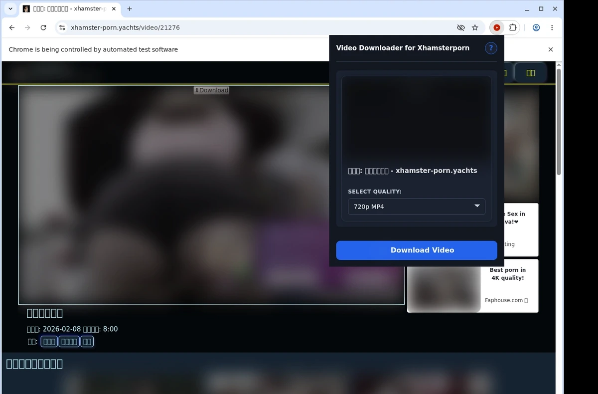 Xhamsterporn Video Downloader ready state screenshot