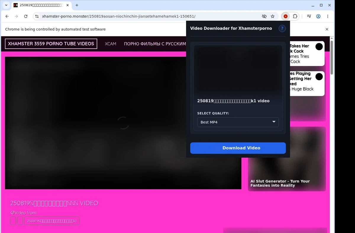 XhamsterPorno Video Downloader ready state screenshot