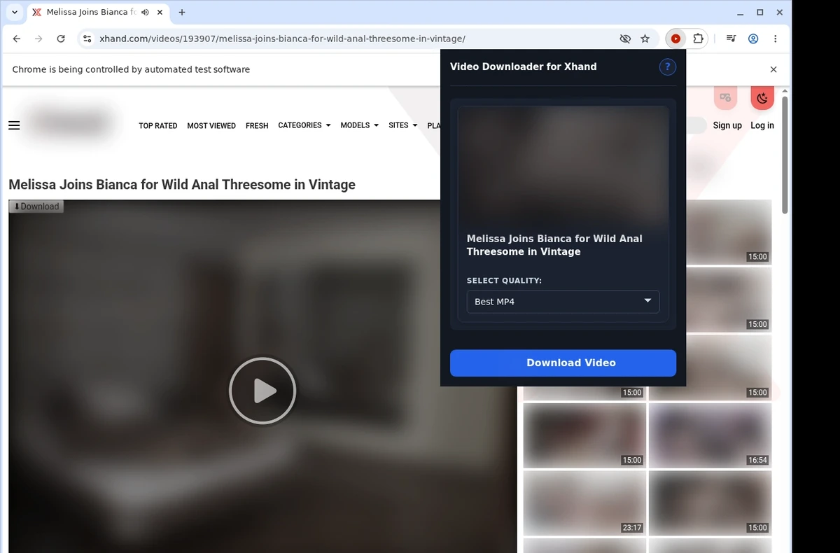 Xhand Video Downloader ready state screenshot