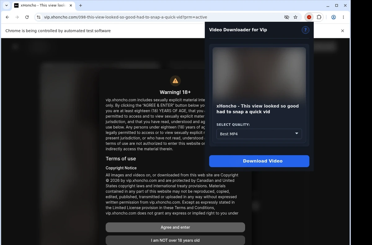 XHoncho Video Downloader ready state screenshot