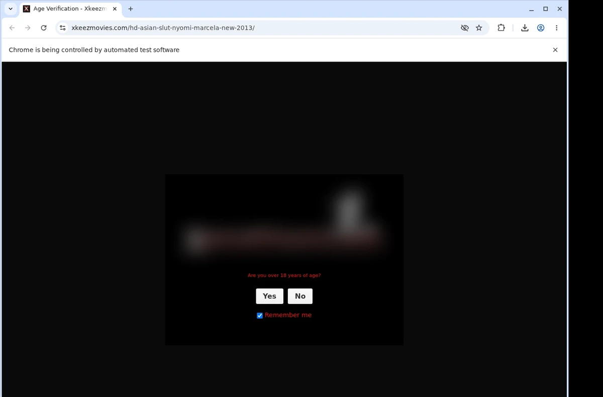 XkeezMovies Video Downloader ready state screenshot