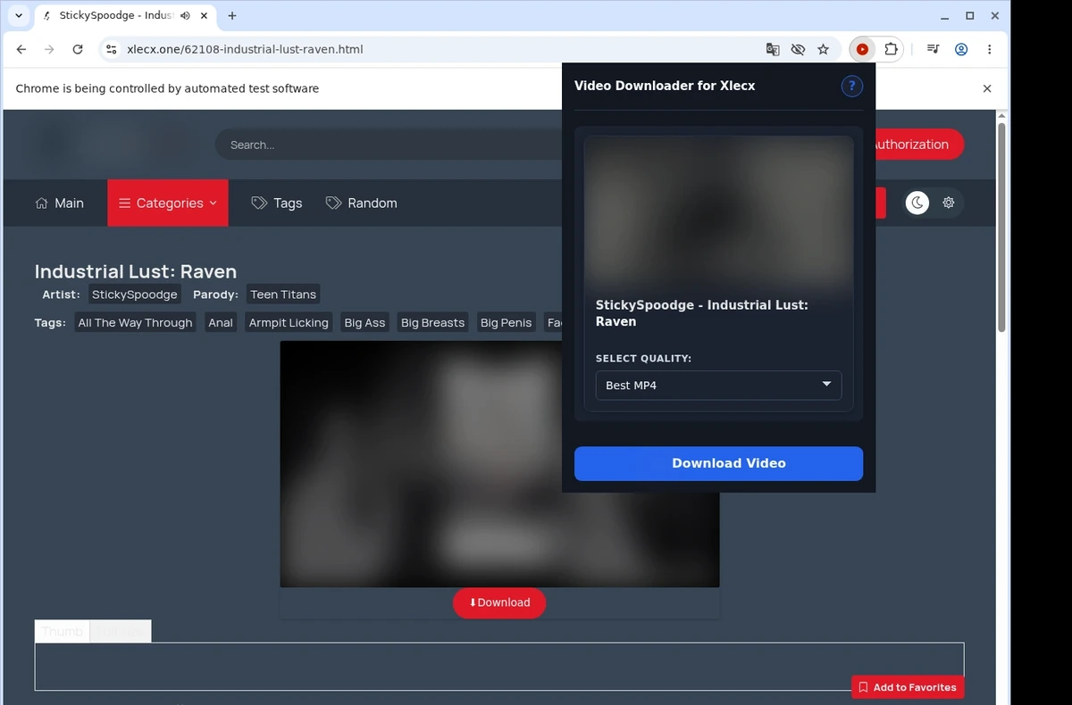 XLECX Video Downloader ready state screenshot