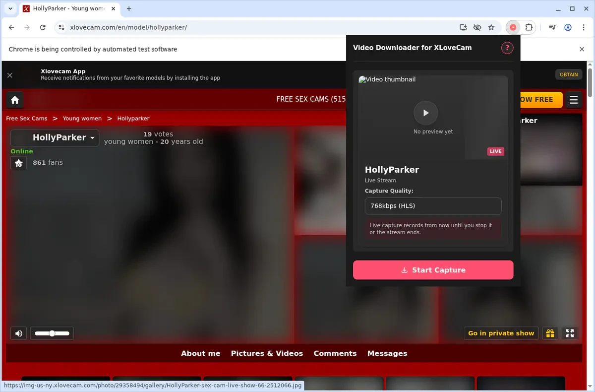 XLoveCam Video Downloader fullscreen screenshot