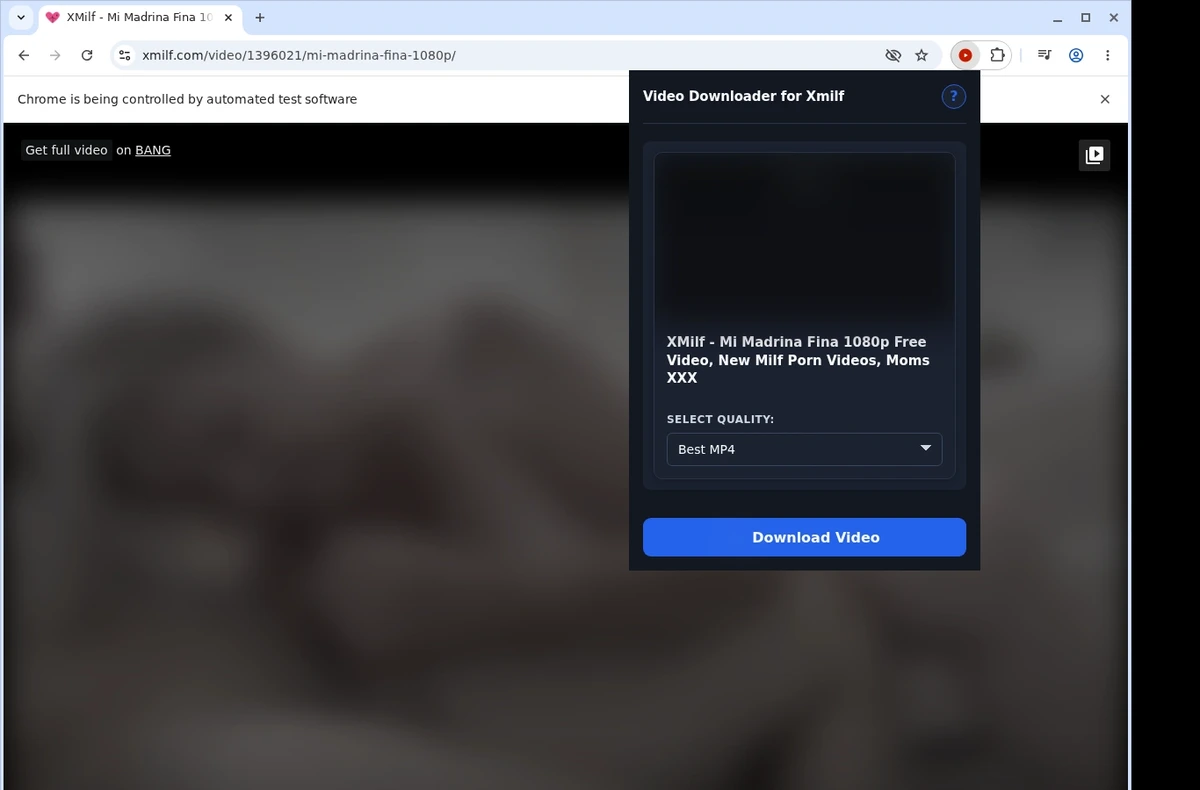 XMilf Video Downloader ready state screenshot