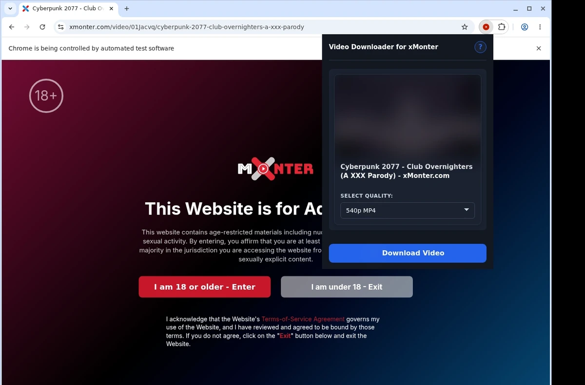 xMonter Video Downloader ready state screenshot