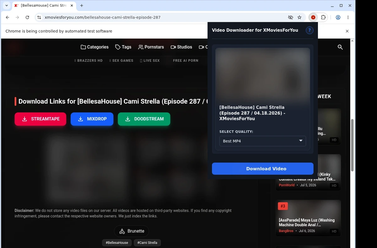 XMoviesForYou Video Downloader ready state screenshot