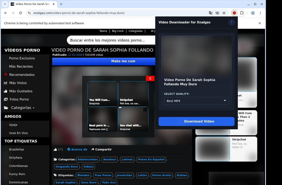 XNalgas Video Downloader ready state screenshot