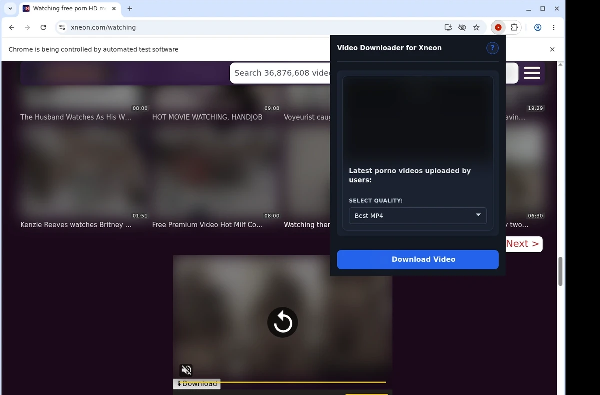 XNeon Video Downloader ready state screenshot
