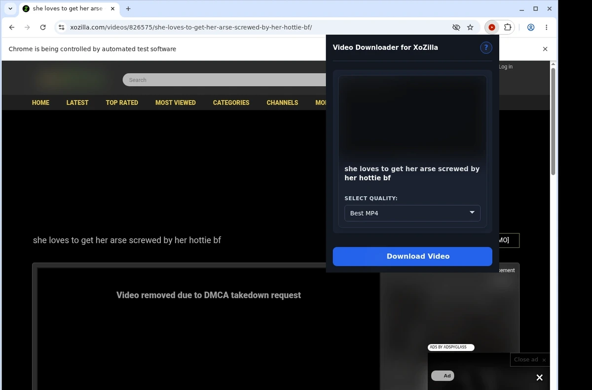 XoZilla Video Downloader ready state screenshot