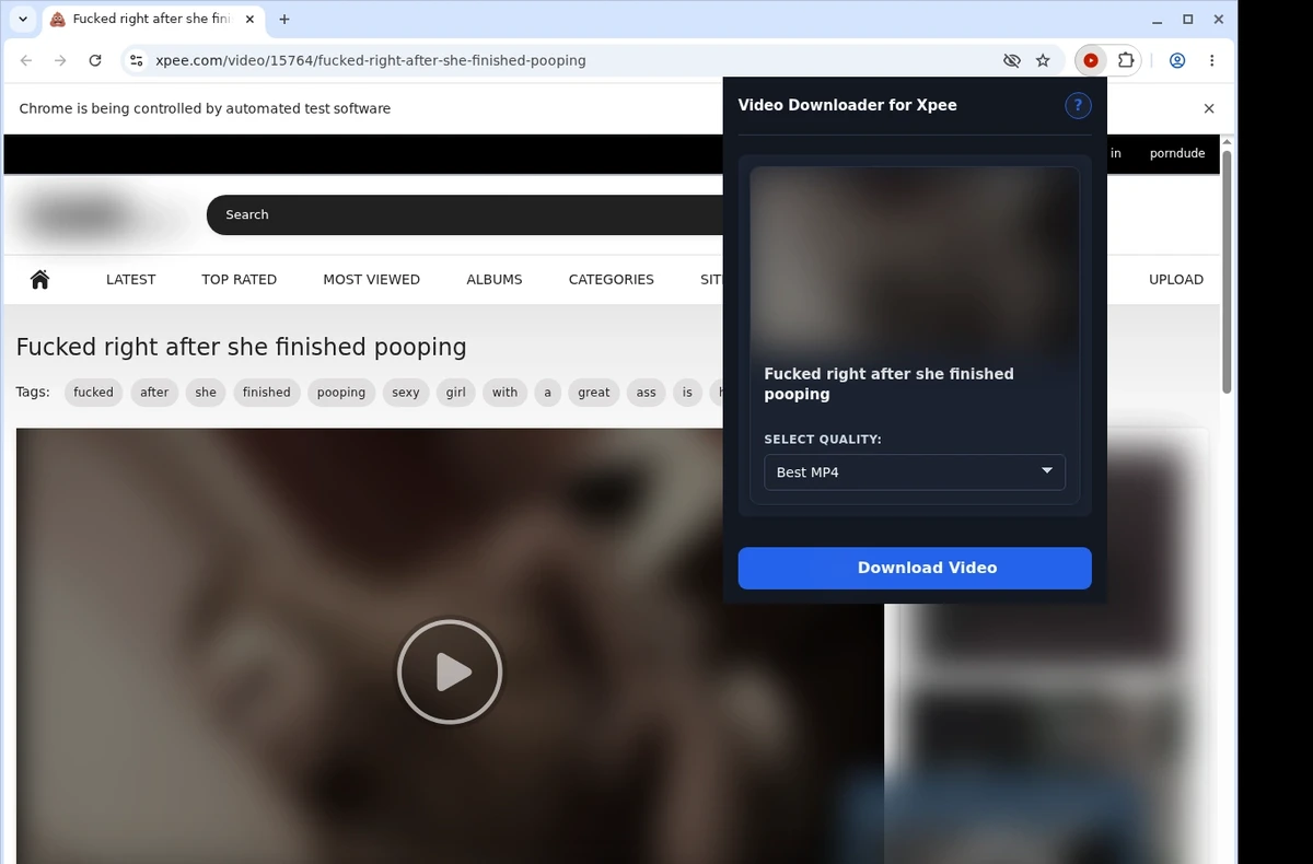 Xpee Video Downloader ready state screenshot