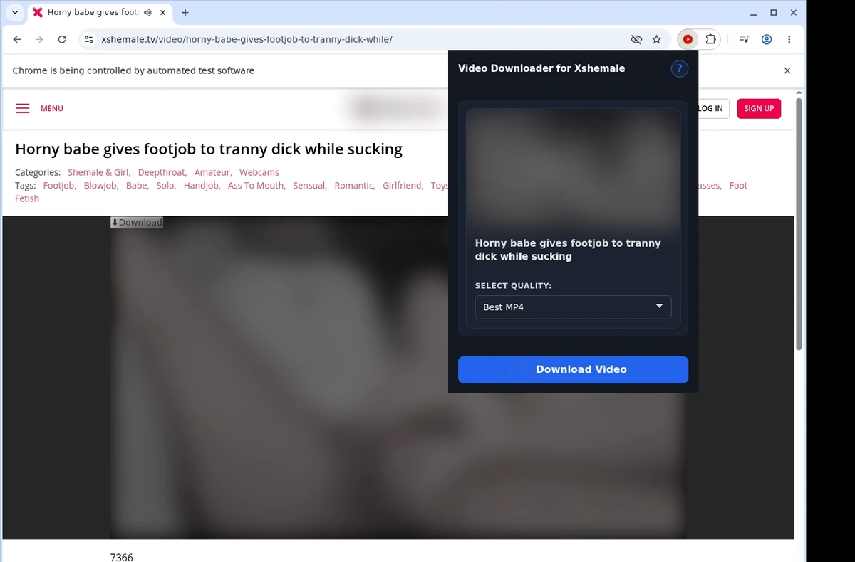 XShemale Video Downloader ready state screenshot