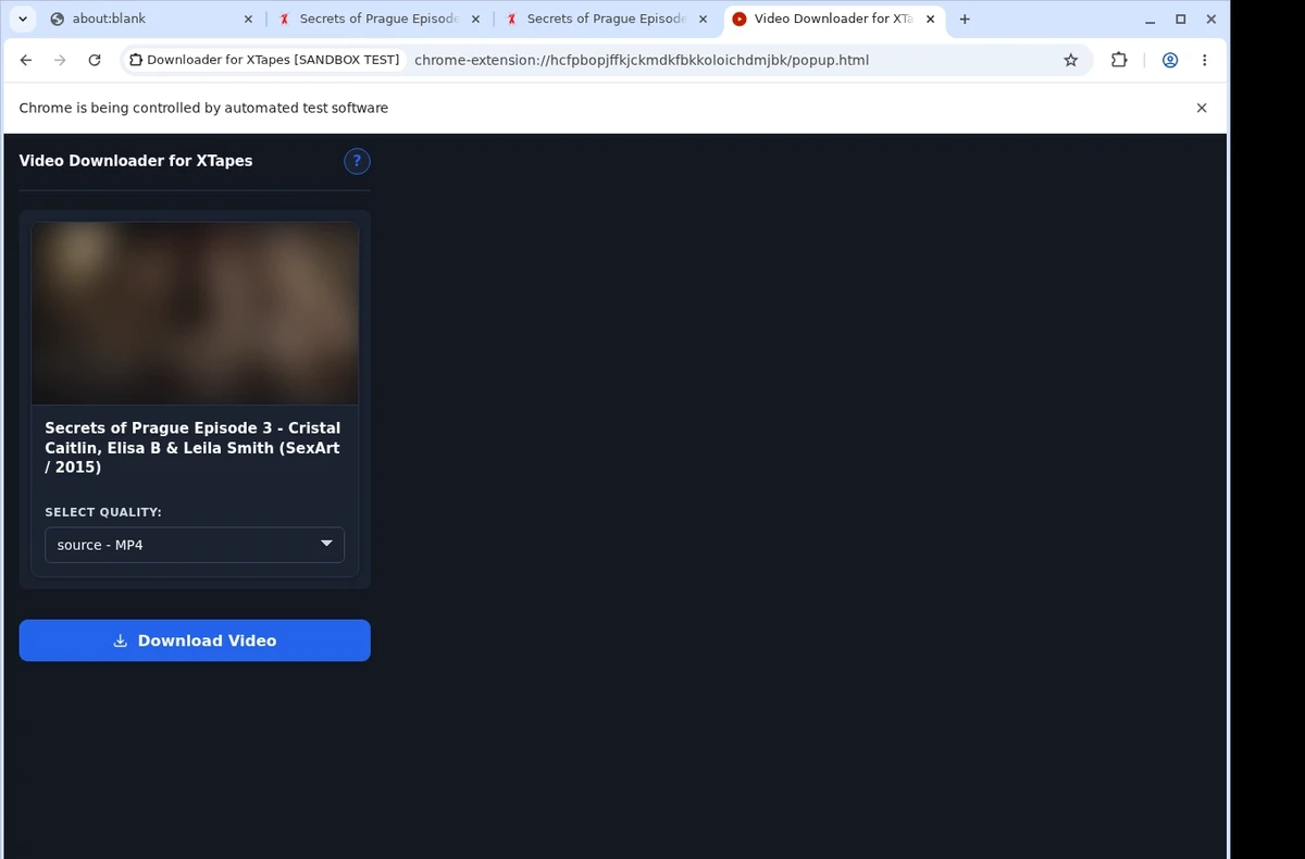 XTapes Downloader ready state screenshot