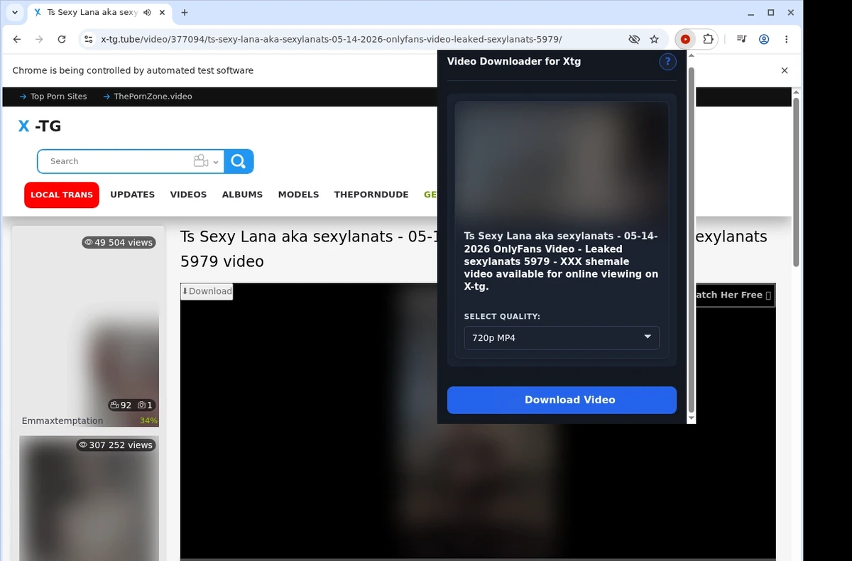X-TG Downloader ready state screenshot