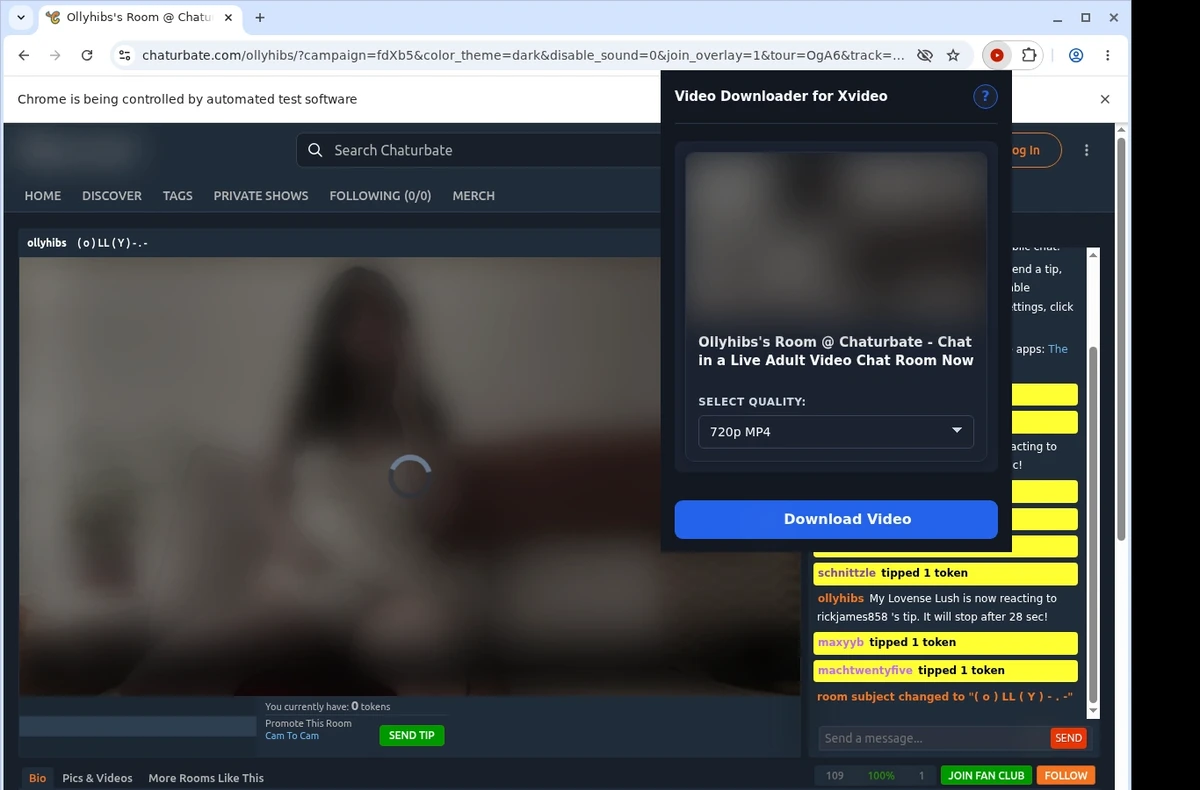 X-Video Video Downloader ready state screenshot