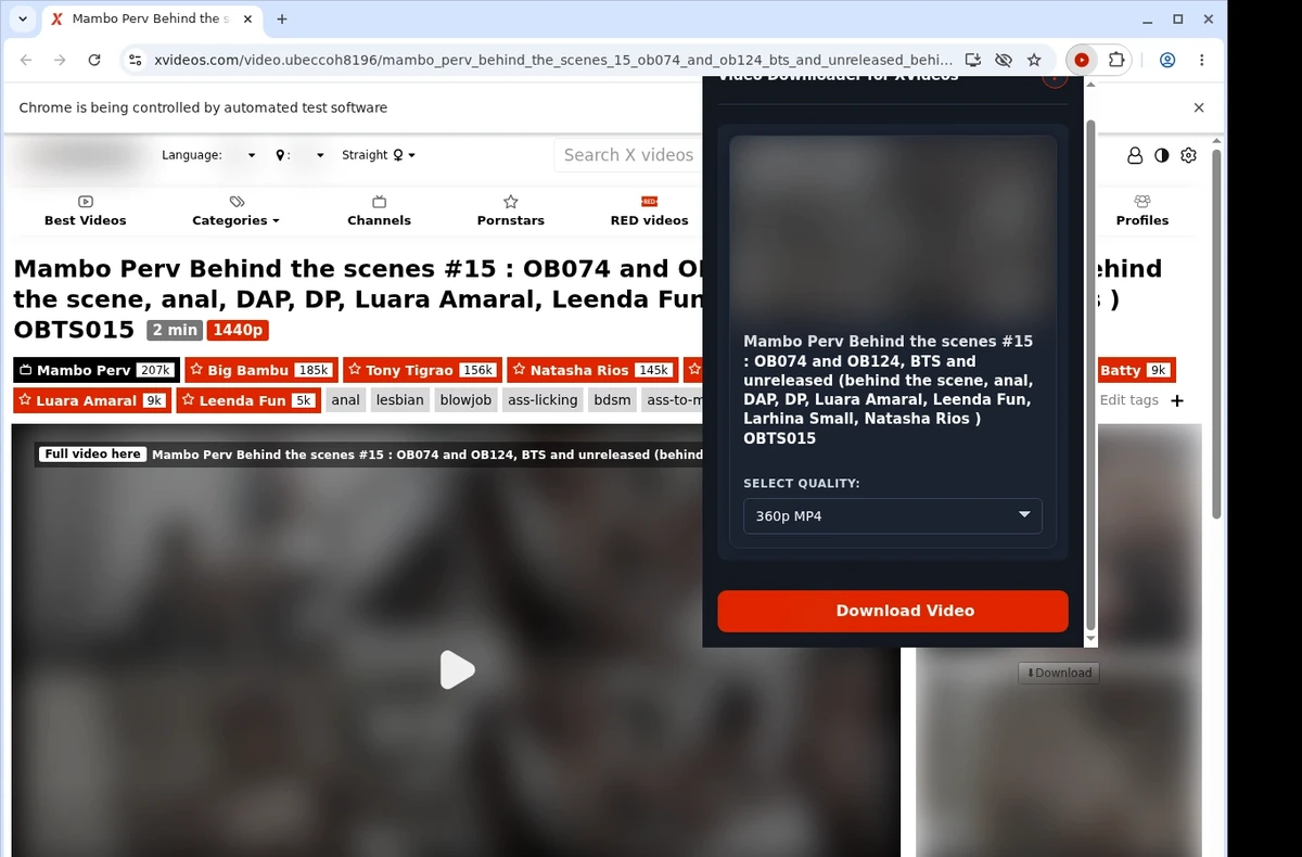 XVideos Video Downloader ready state screenshot