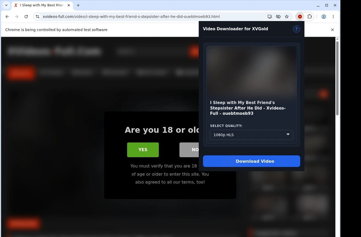 XVideosFull Video Downloader ready state screenshot