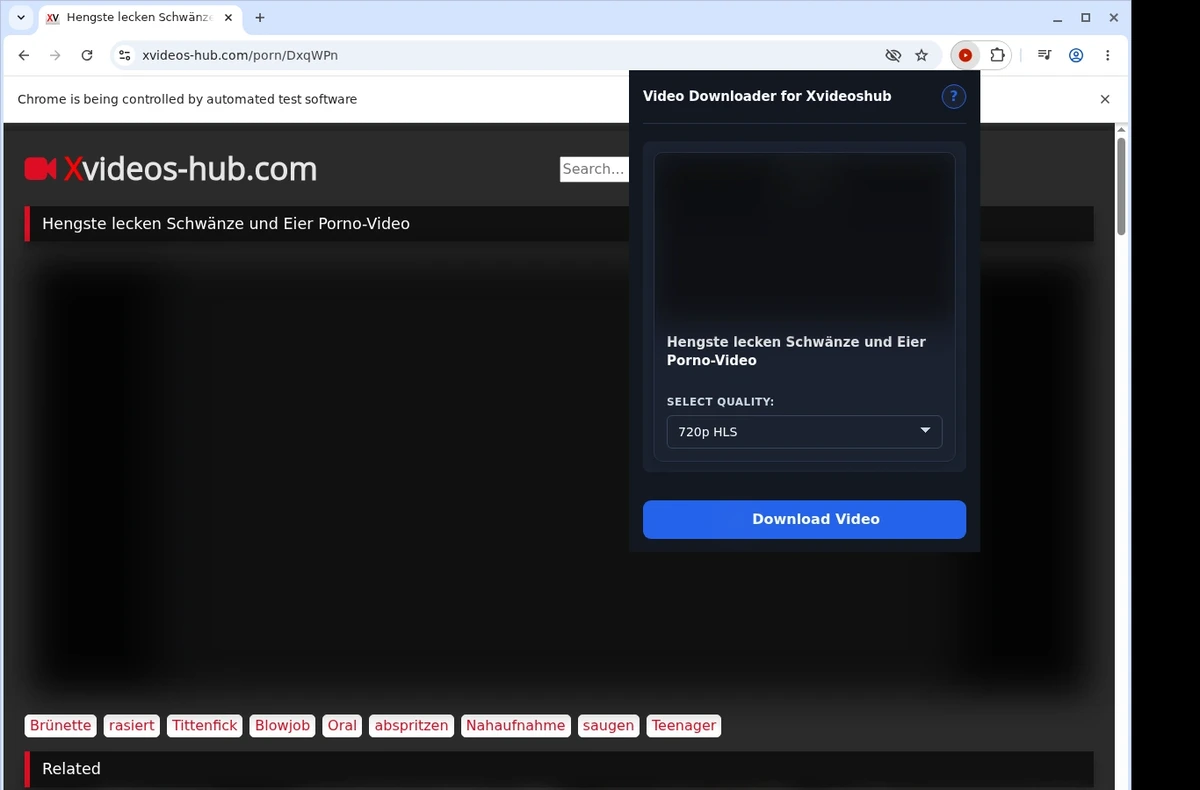 XVideosHub Downloader ready state screenshot