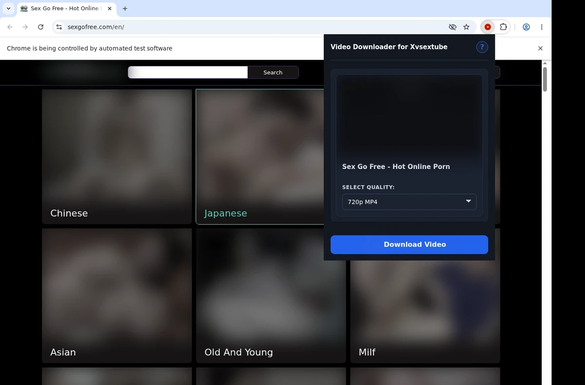 Xvsextube Video Downloader ready state screenshot