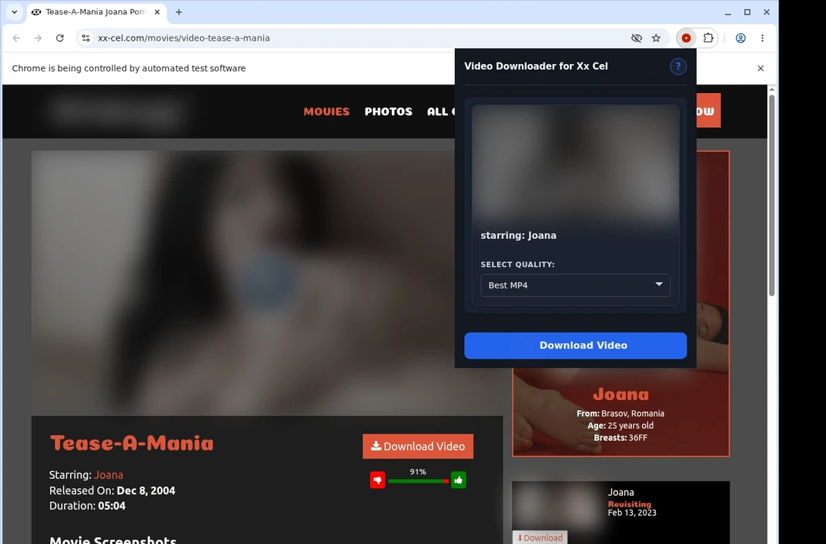 XX-Cel Video Downloader ready state screenshot